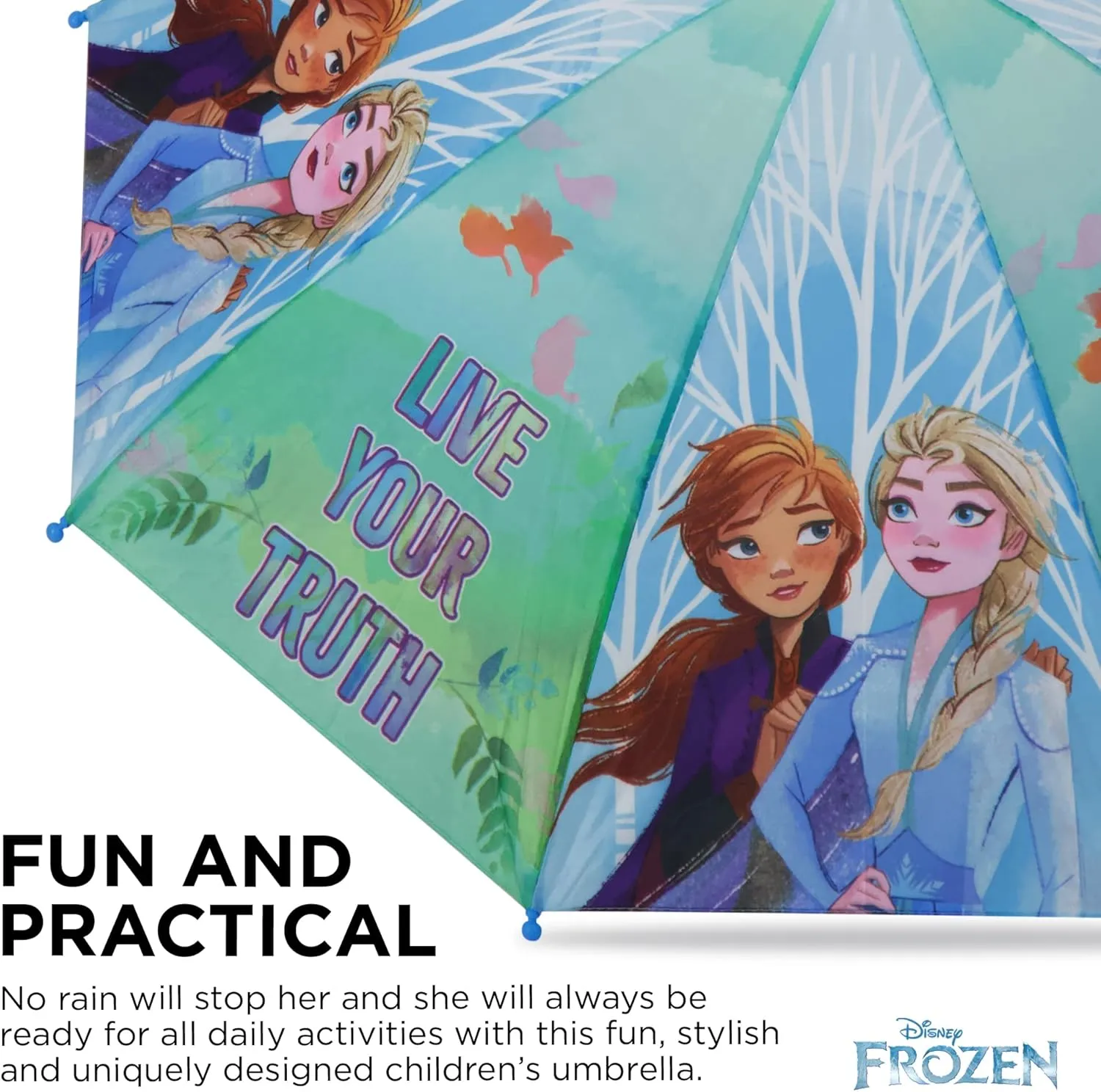 Disney Kids Umbrella, Frozen/Princess/Minnie Mouse Toddler and Little Girl Rain Wear for Ages 3-6