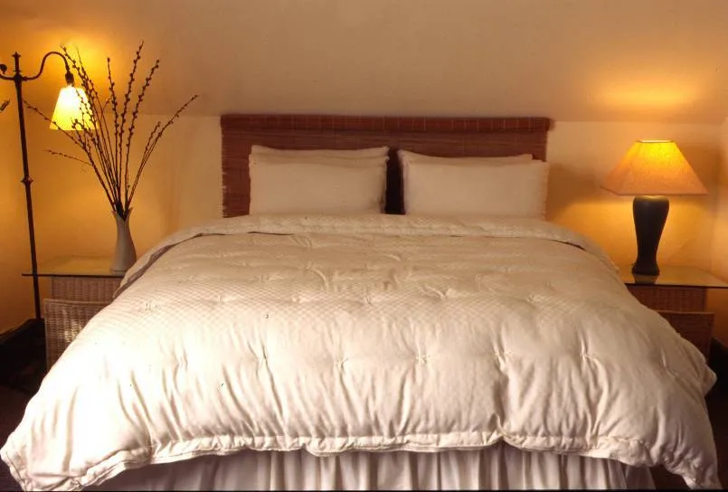 Holy Lamb Organics Dual Weight Comforter