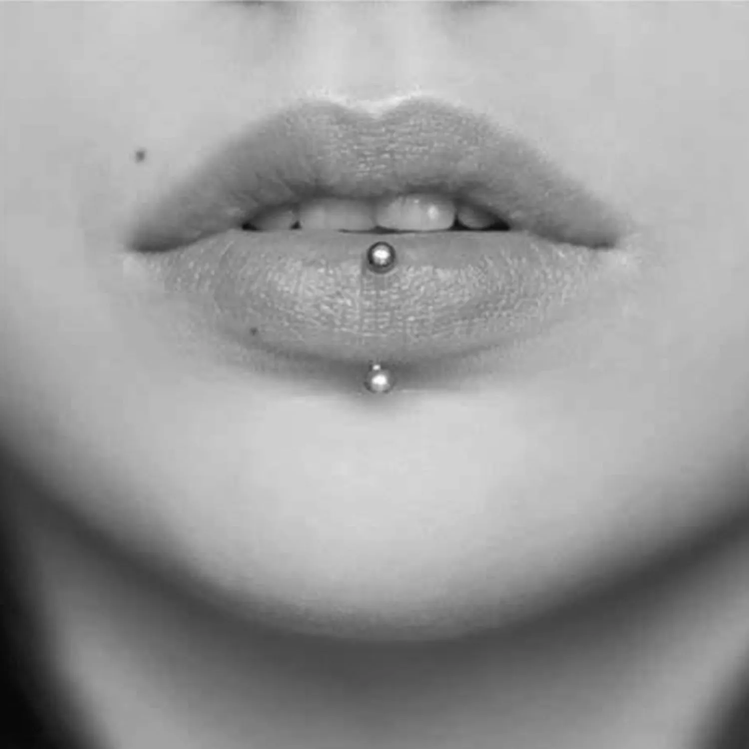Longita Rook Piercing Jewelry Rook Jewelry Rook Earrings Surgical Steel Silver Gold Eyebrow Piercing Jewelry Internally Threaded Eyebrow Rings 16g Vertical Labret Lip Jewelry 8mm 10mm