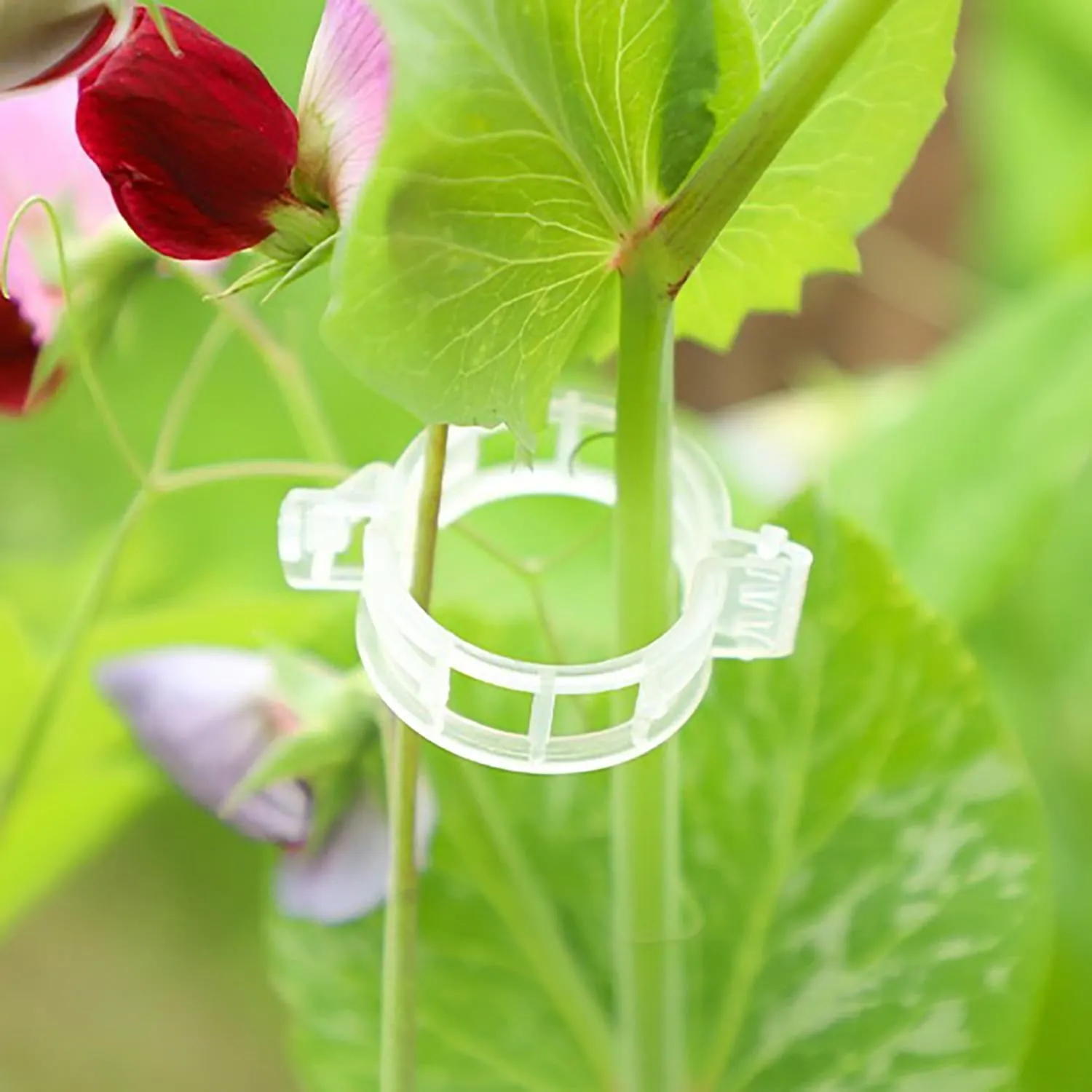 Reusable Plastic Plant Clips for Climbing Plants 2025 - Gentle & Secure Garden Support Clips for Tomatoes, Vines, Cucumbers, Grapes, Vegetables - Indoor/Outdoor Trellis Clips (100, Green)